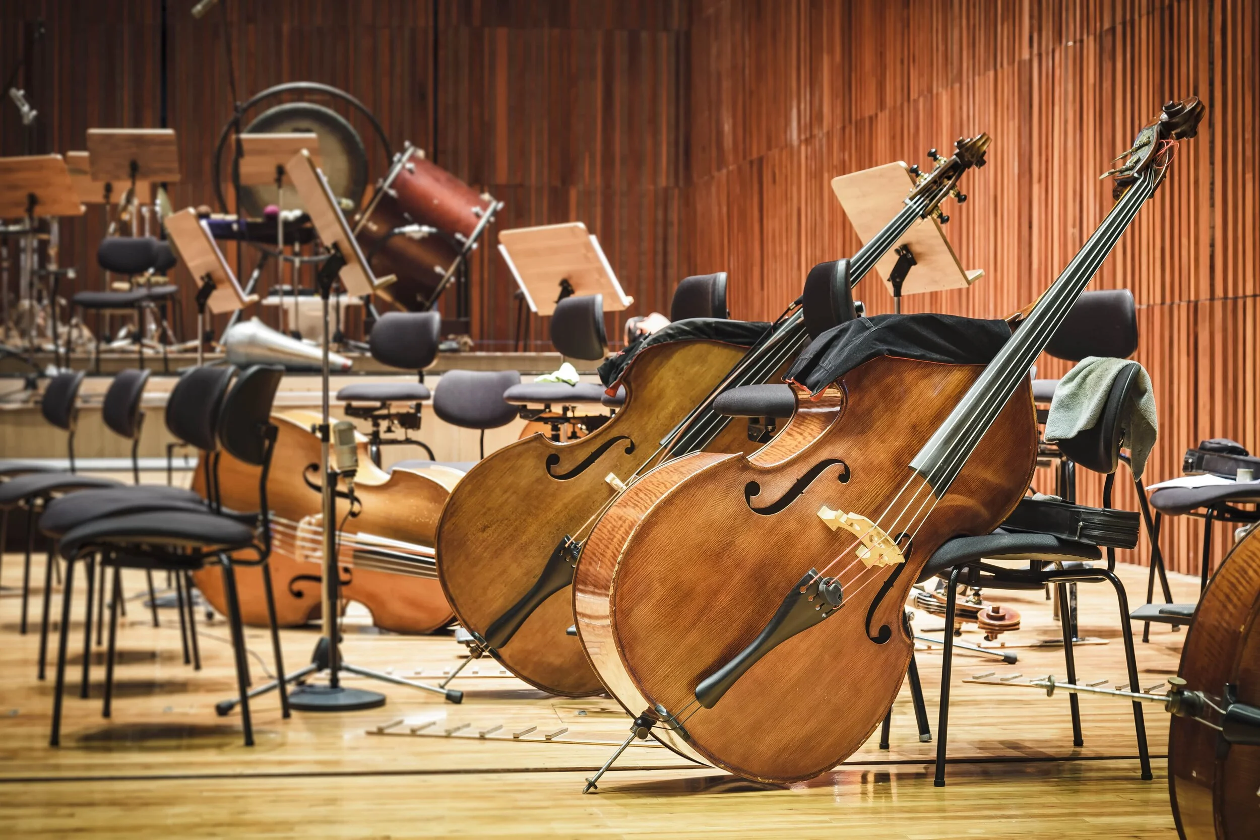TỔNG QUAN VỀ NHẠC CỤ CONTRABASS